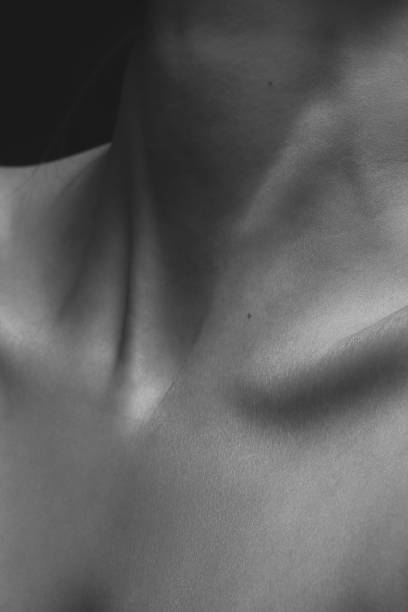 Full Body Skin Firming Balm  INGREDIENTS